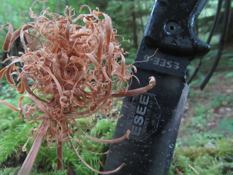Shavings Pictures! Bushcraft USA Forums